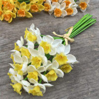 Нарцис 20см біло-жовтий 3шт 100422