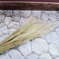 Сухоцвіт ковила натуральна 45см С14799