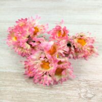 Суцвіття маргариток 10см 061