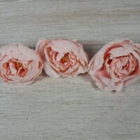 Квітка ранункулюса 6см Корал НД97