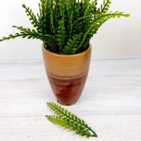 Добавка двойная  папоротник 12 см 10шт