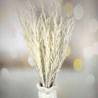 Декоративна гілка Хмиз 70см білий в інею 839-021