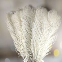 Декоративна гілка Перо Павича 69см, колір - білий глітер 839-489