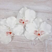 Голова орхидеи 11см белая Г01