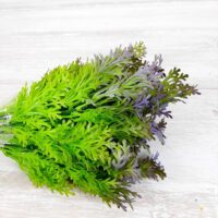 Исландский мох, 37см сиреневый ТРА1-06