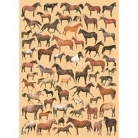 Декупажная карта 20*30см 100г/м2 А4-584