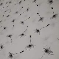 Хлопковая ткань (бязь Gold) 220см Одуванчик на белом