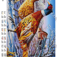 ДАНА-2136 Фазаны, схема под бисер