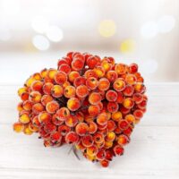 Ягода в цукрі 12см помаранчево-червона пучок