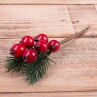 Ветка калина 6 ягод с хвоей №2443