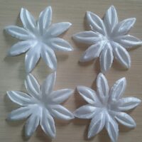Цветы-заготовки пресс 5 см белые 6480