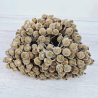 Ягода в цукрі 12см золото пучок