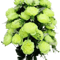 Букет півонії ГІГАНТ на 48 голів SV-057