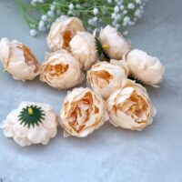 Квітка півонії 6см НД97 шампань