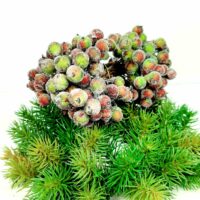 Ягода в цукрі 12см оливково-червона пучок