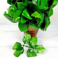 Лист искусственной розы 6-ка светлый К, 19см 103 5шт