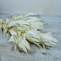 Декоративна квітка Протеї 70см, колір - білий крем 709-570