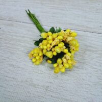 Пучок Незабудок 12*2см жовтий