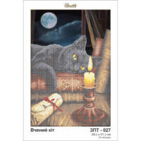 Золота підкова ЗПТ-027 Вчений кiт схема під бісер