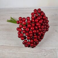 Букет калини лакової червоної