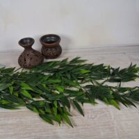 Кущ Рускус 87см 099897 ліана