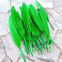 Пір'я довге 10-16см 10шт зелене