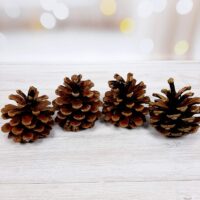 Шишка натуральная 8-10см