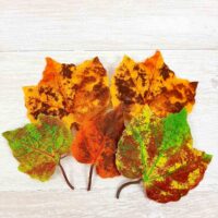 Штучне листя клена жовто-червоне з хвостиком А-189770