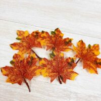 Лист осенний А-9877