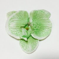 Орхидея 0598-4 зеленая