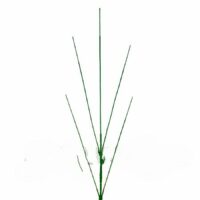 Нога 5 голов литая 18см