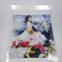 Принт ДС-5 28см*41см А3