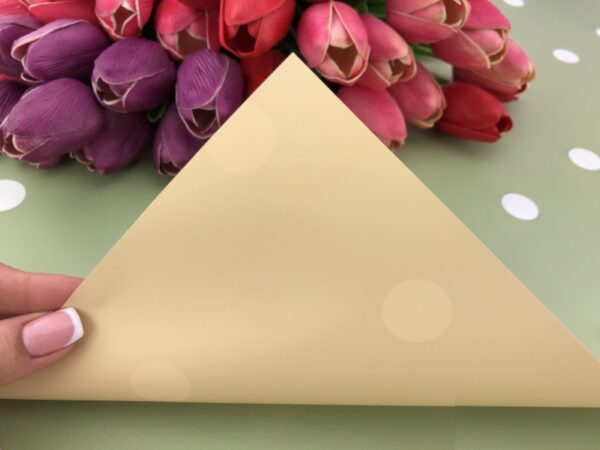 Калька (плівка) для квітів двостороння матова SW-04-081 58*58см горох оливка