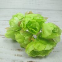 Пион 5635-1-19 зеленый