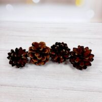 Шишка натуральная 3-4см