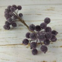 Ягода в цукрі 12см чорниця пучок