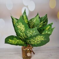 Кущ монстери на 15лис зелена 360мм BM-5