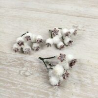 Шипшина під снігом біла 12мм