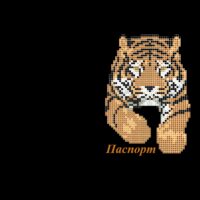 Обложка на паспорт №37 габардин