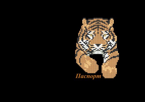 Обложка на паспорт №37 габардин