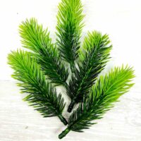 Еловая лапка 10см