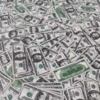 Хлопковая ткань (бязь Gold) 220см Доллары