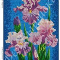 Фея Вышивки ВП-33 Ирисы, схема под бисер