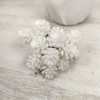 Декоративні міні-шишки 12шт в пучку 12см білий 839-087