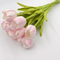 Тюльпан латекс «Рапсодія» НД26 35см ніжно-рожевий