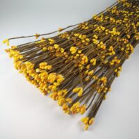Гілочка верби 40см Б41 жовта