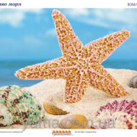 ЮМА 386 Волшебство моря, схема под бисер