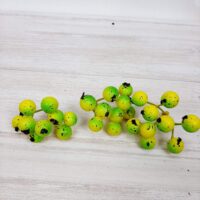 Ягода калина. Зеленая Я7