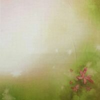 КФ-1125 Тонована канва 40*30см Alisena