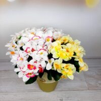 Нарцыс букет 21см U-J1900